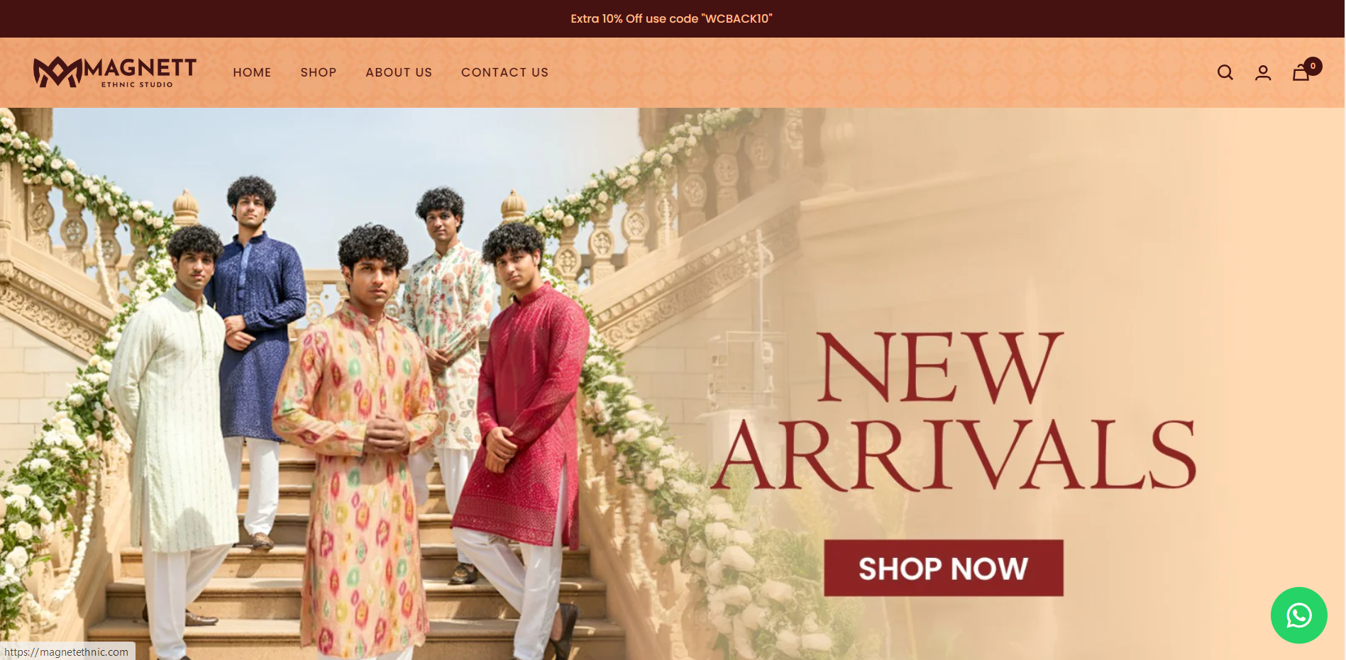 magnetethnic.com website preview